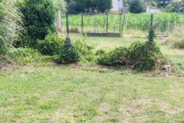 Novn elad hz BOMBA R