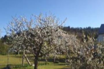 Balatoni k�zs�gben elad� h�z