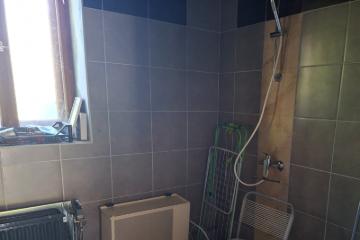 Vas megyei kisfaluban paraszth�z